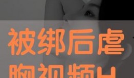 绑胸视频在线观看,在线观看教学视频解析